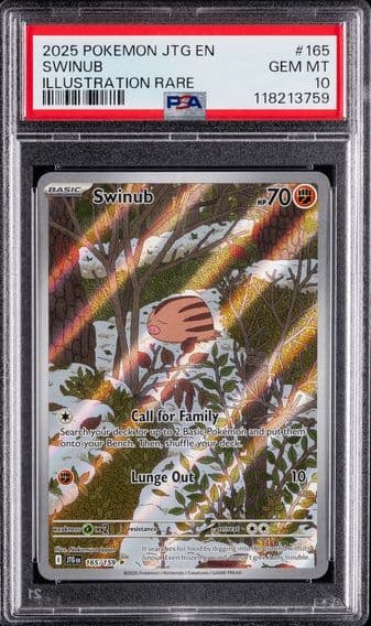 2025 #165 Swinub PSA 10 Jtg EN-Journey Together Pokemon