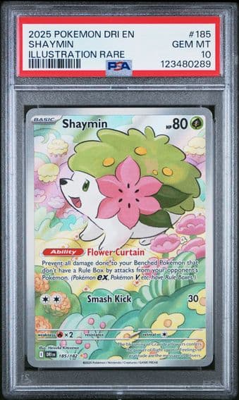 2025 #185 Shaymin PSA 10 Dri EN-Destined Rivals Pokemon