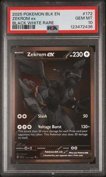 2025 #172 Zekrom EX PSA 10 Blk EN-Black Bolt Pokemon