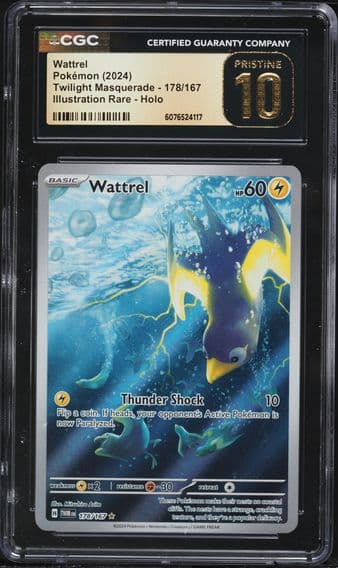 2024 #178 Wattrel CGC 10 Pristine Twm EN-Twilight Masquerade Pokemon