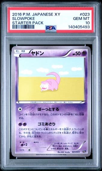 Pokemon Japanese XY Starter Pack
