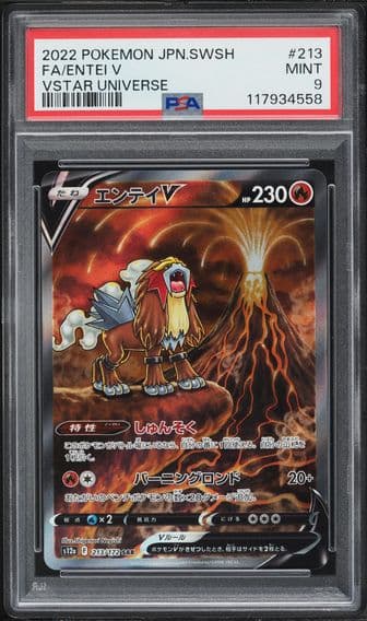 2022 #213 Full Art/Entei V PSA 9 Japanese Sword & Shield Vstar Universe Pokemon