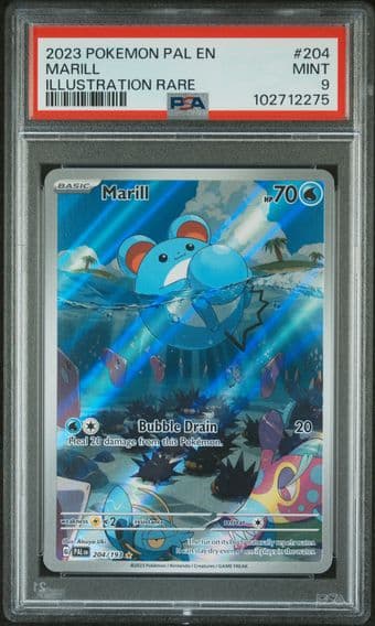 2023 #204 Marill PSA 9 POKEMON PAL EN-PALDEA EVOLVED