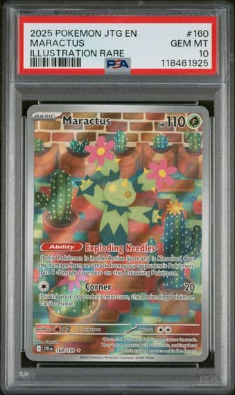 2025 #160 Maractus PSA 10 Jtg EN-Journey Together Pokemon