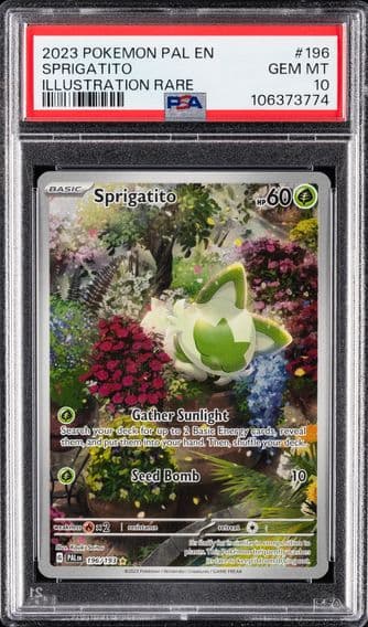 2023 #196 Sprigatito PSA 10 Pal EN-Paldea Evolved Pokemon