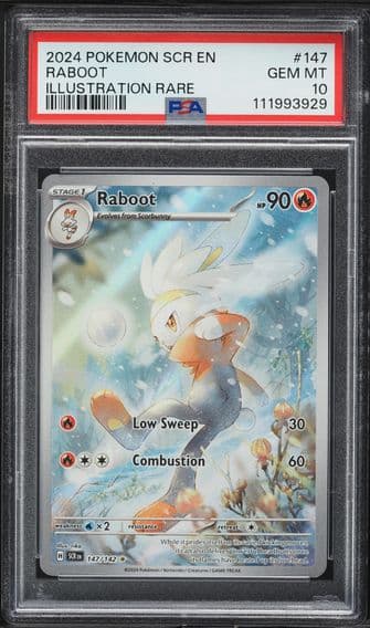 2024 #147 Raboot PSA 10 Scr EN-Stellar Crown Pokemon