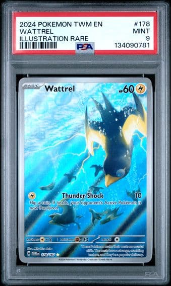 2024 #178 Wattrel PSA 9 Twm EN-Twilight Masquerade Pokemon