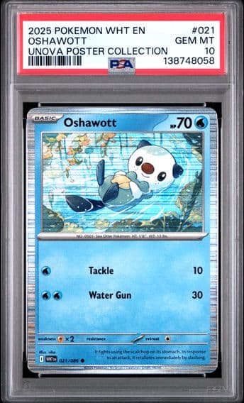2025 #021 Oshawott PSA 10 Wht EN-White Flare Pokemon
