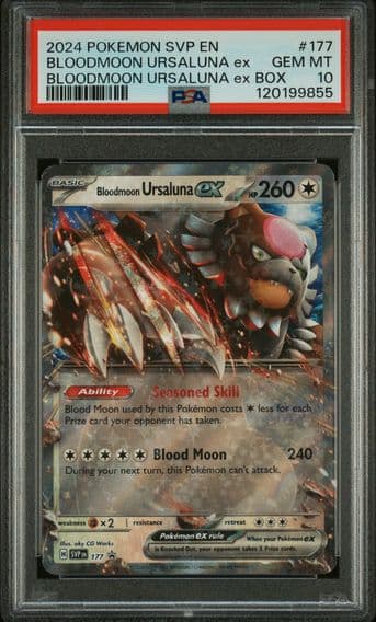 2024 #177 Bloodmoon Ursaluna EX PSA 10 Svp EN-SV Black Star Promo Pokemon