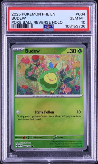 2024 #004 Budew PSA 10 Prismatic Evolutions - PRE EN - English Pokemon