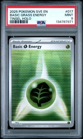 Pokemon Sve EN-Basic Energies