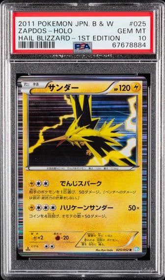 Pokemon Japanese Black & White Hail Blizzard