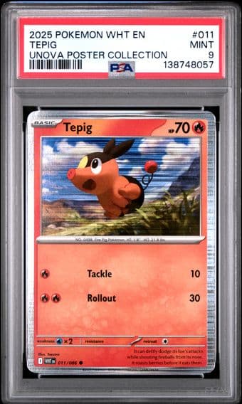 2025 #011 Tepig PSA 9 Wht EN-White Flare Pokemon