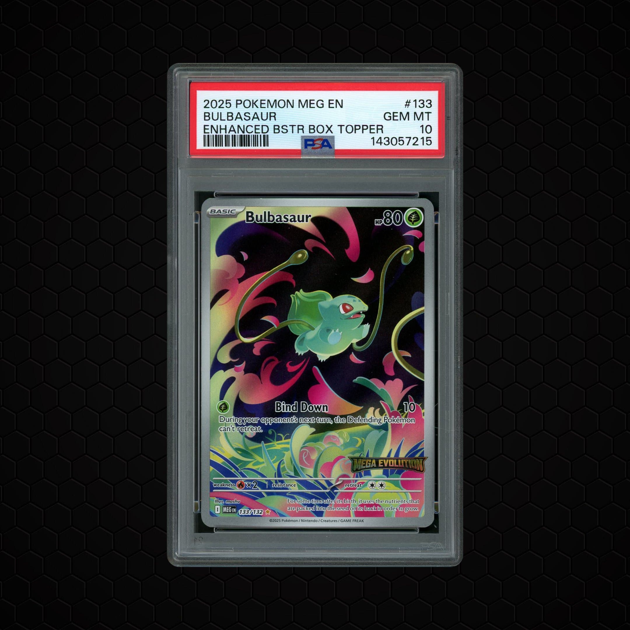 Mega Evolution