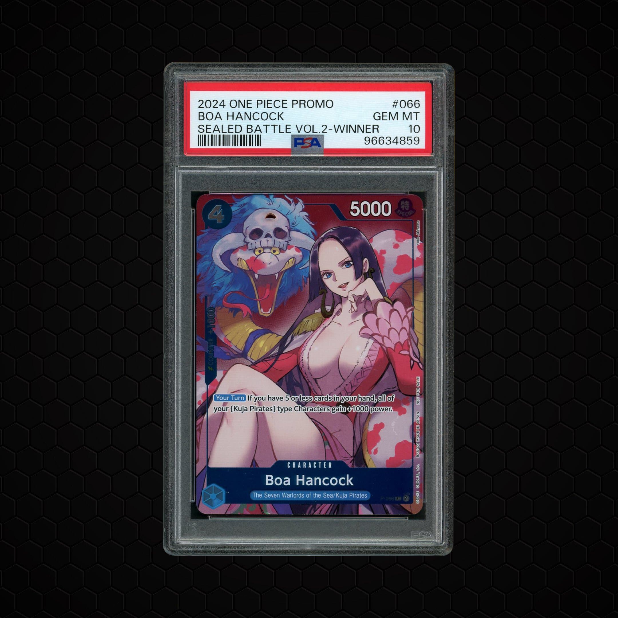 Sealed Battle Volume 2