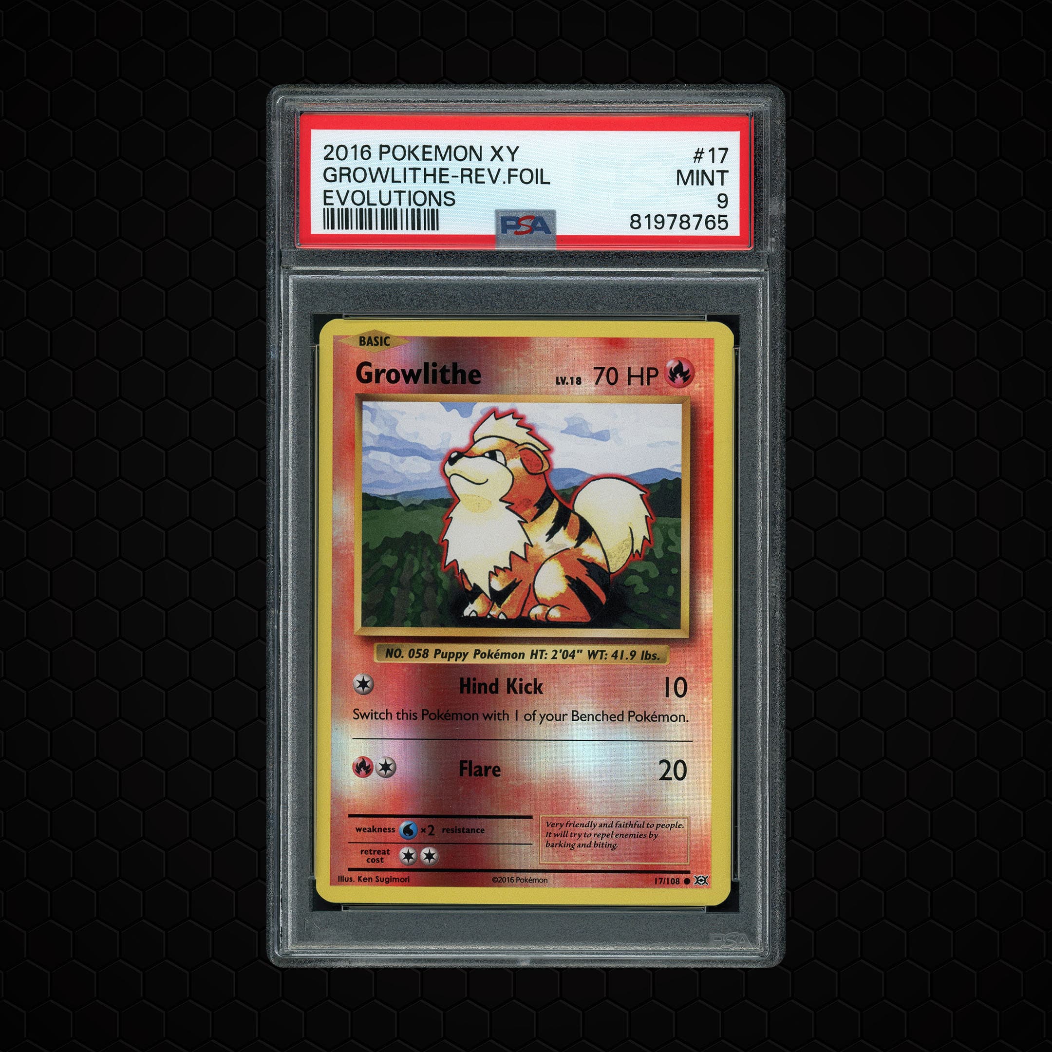 2016 Evolutions Growlithe  PSA 9