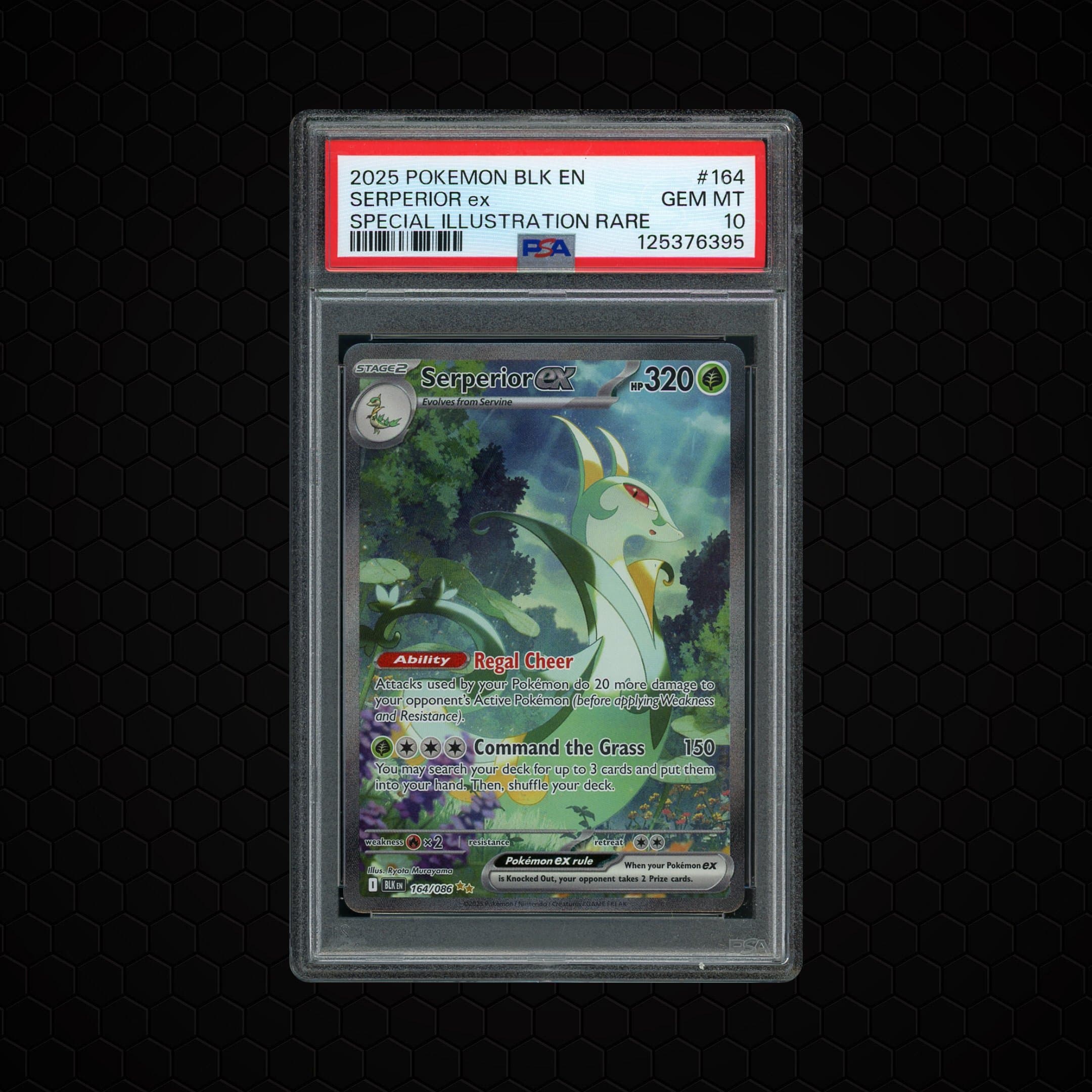 2025 Black Bolt Serperior EX  PSA 10