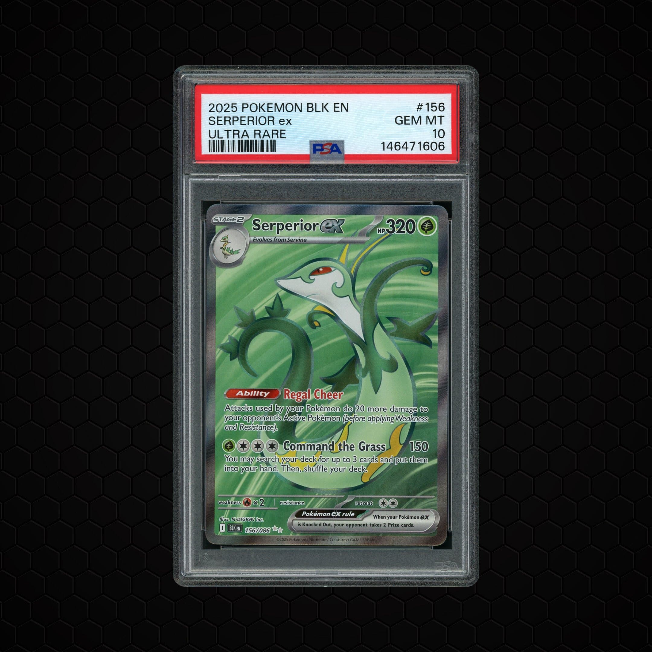 2025 Black Bolt Serperior EX  PSA 10