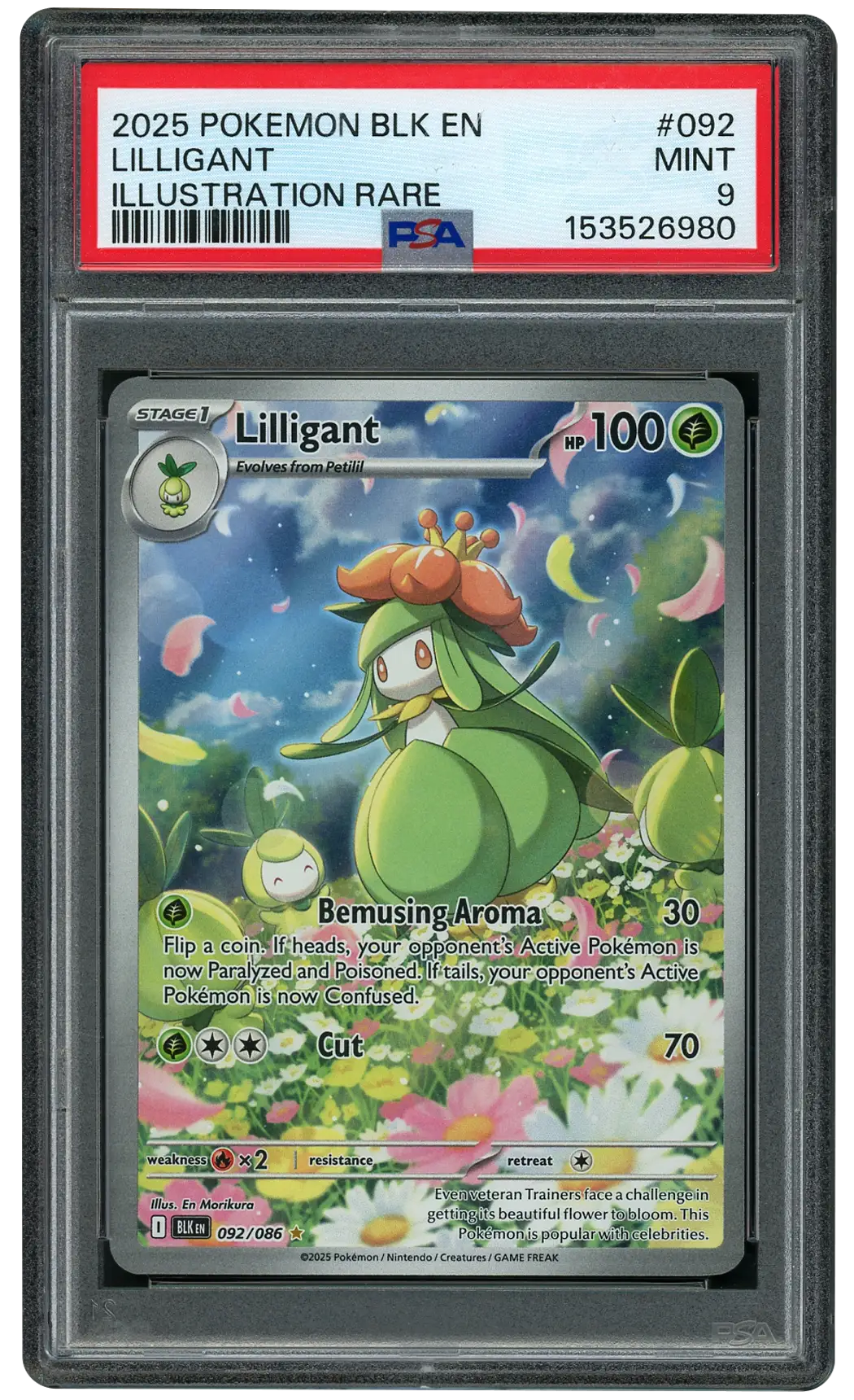 2025 Black Bolt Lilligant  PSA 9