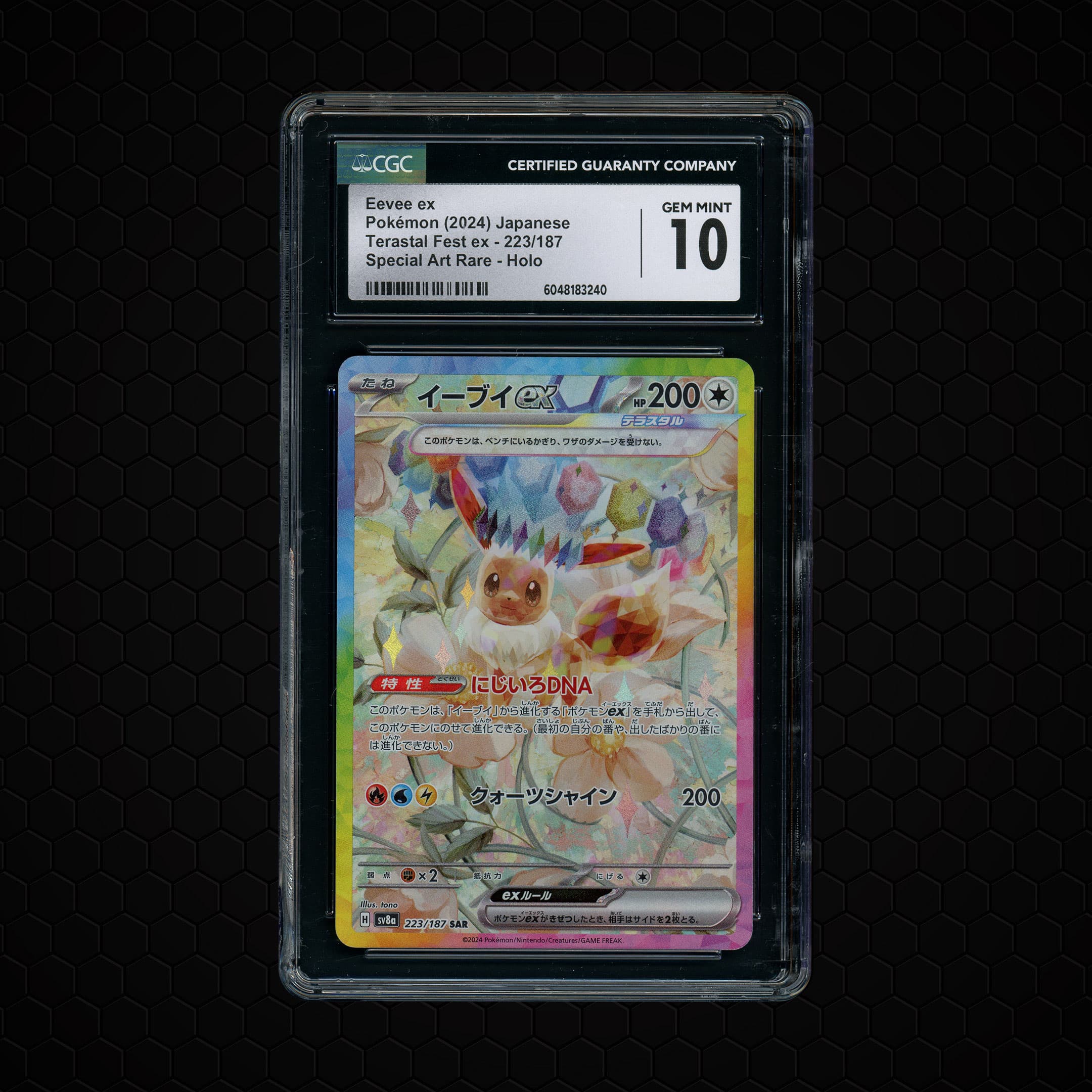 2024 Japanese Terastal Festival ex Eevee EX  CGC 10