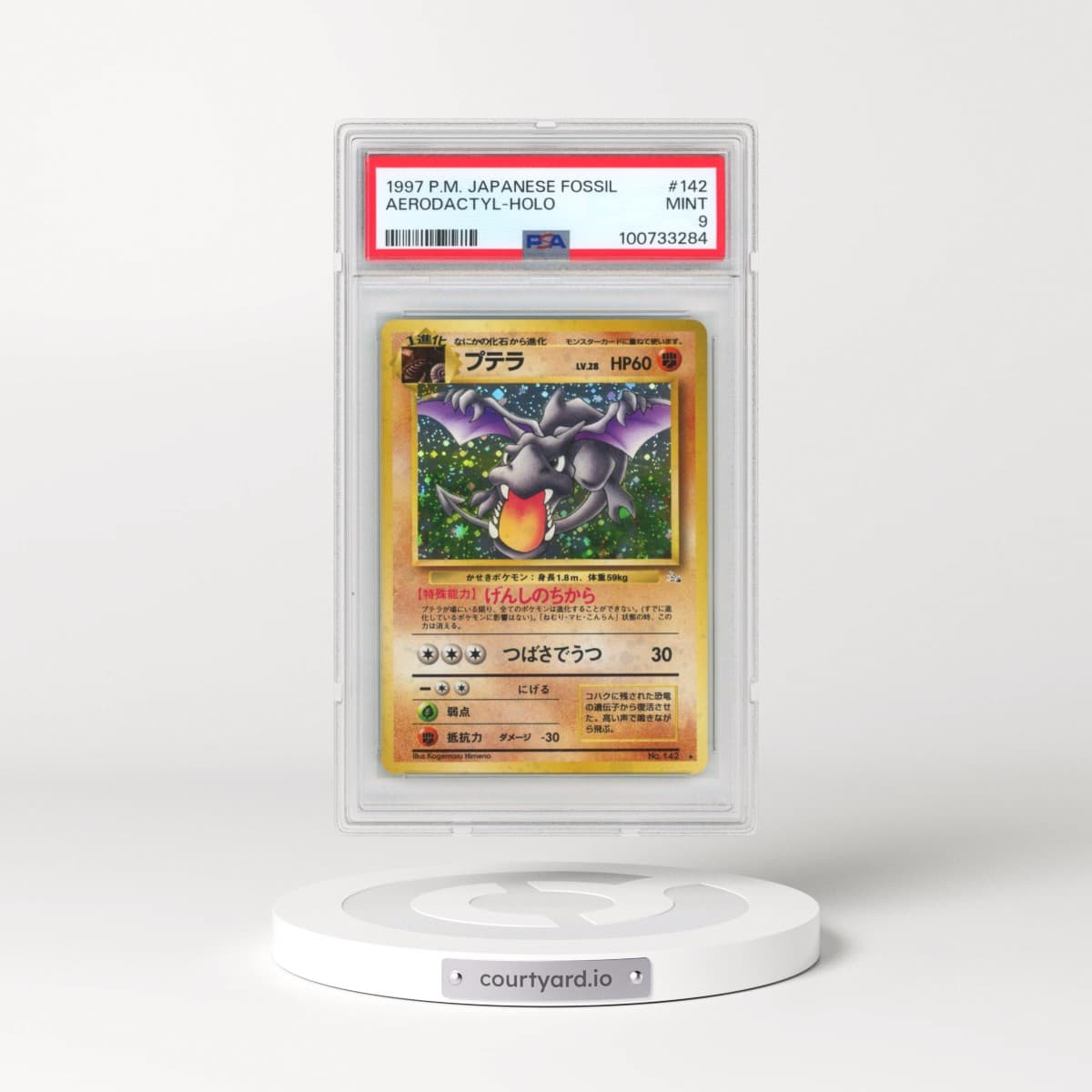 Pokémon Fossil