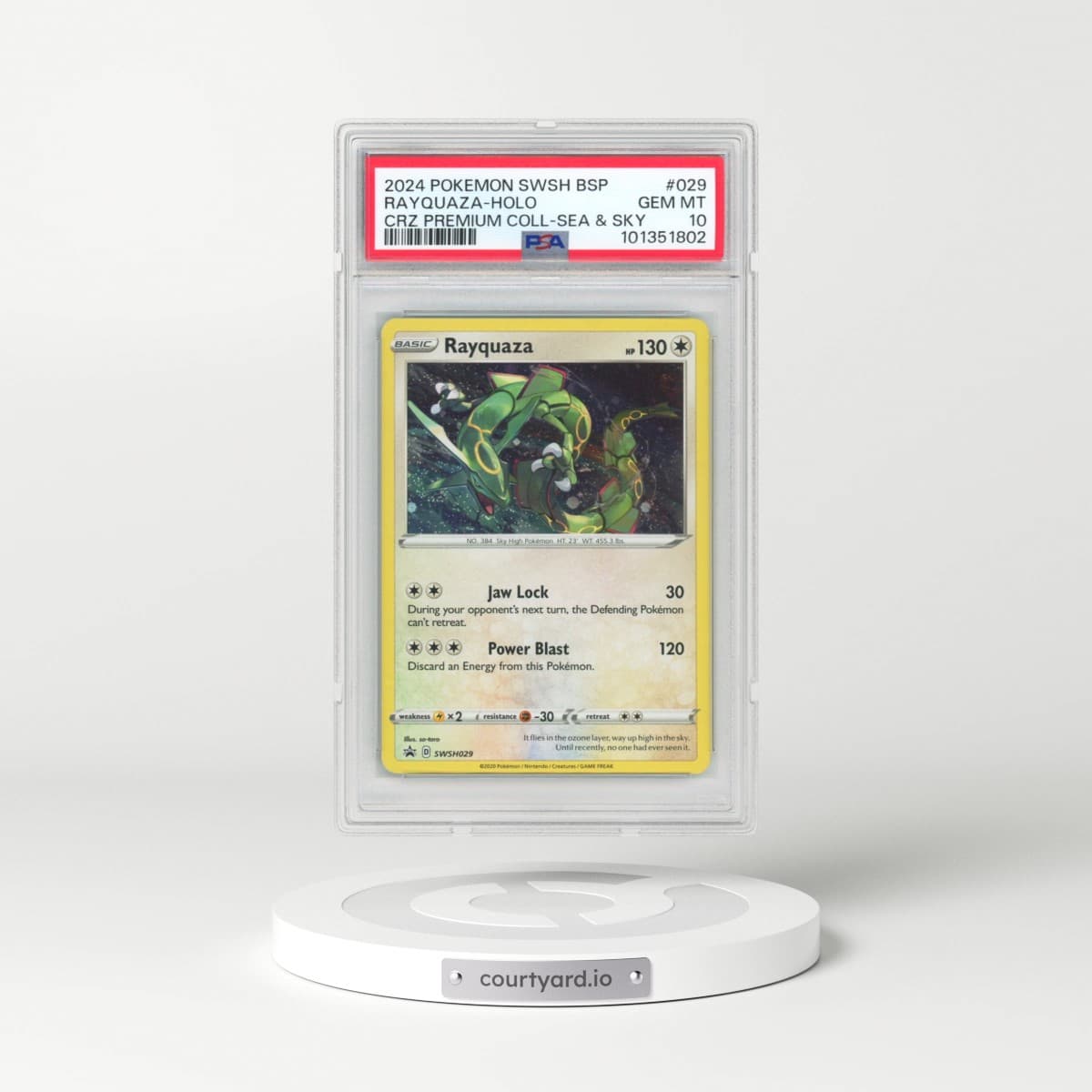 2024 Pokémon Swsh Black Star Promo #029 Rayquaza - Holo Crown Zenith Premium Collection Sea & Sky (PSA 10 GEM MINT)