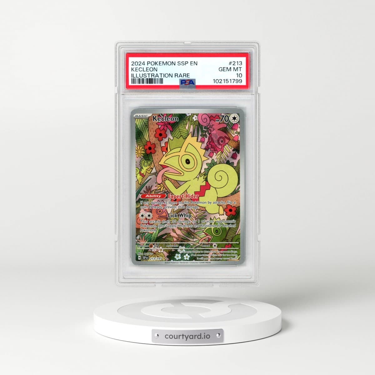 2024 Pokémon Ssp EN-Surging Sparks #213 Kecleon - Illustration Rare (PSA 10 GEM MINT)