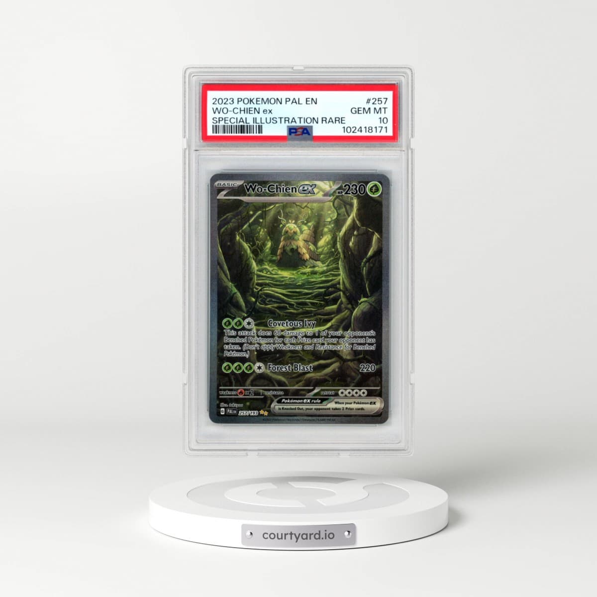 2023 Pokémon Pal EN-Paldea Evolved #257 WO-Chien EX - Holo Special Illustration Rare (PSA 10 GEM MINT)