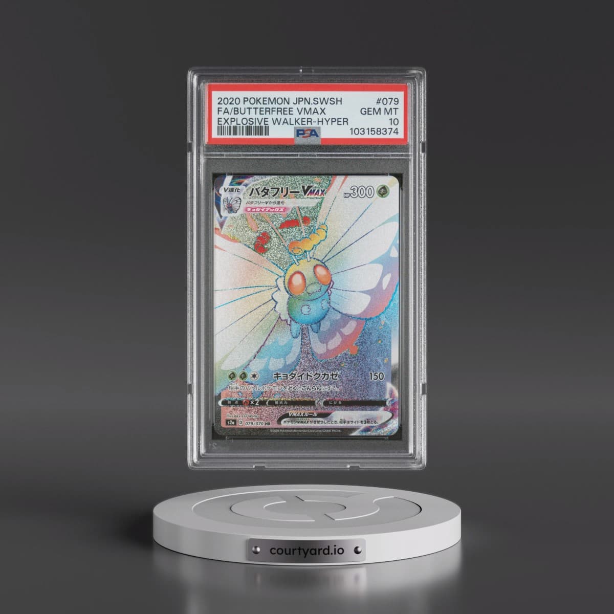 Pokémon Sword & Shield Explosive Walker