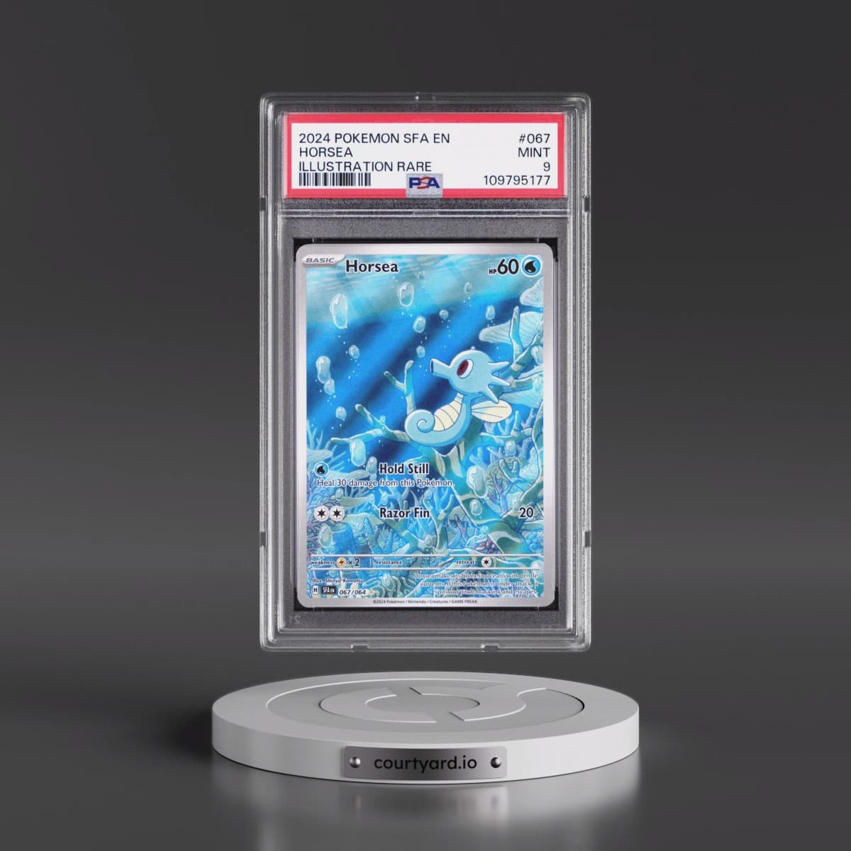 2024 Pokémon Sfa EN-Shrouded Fable #067 Horsea - Illustration Rare (PSA 9 MINT)