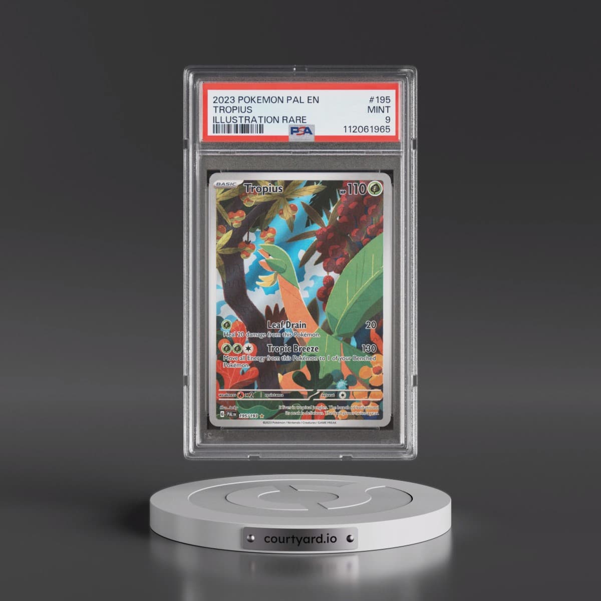 2023 Pokémon Pal EN-Paldea Evolved #195 Tropius - Illustration Rare (PSA 9 MINT)
