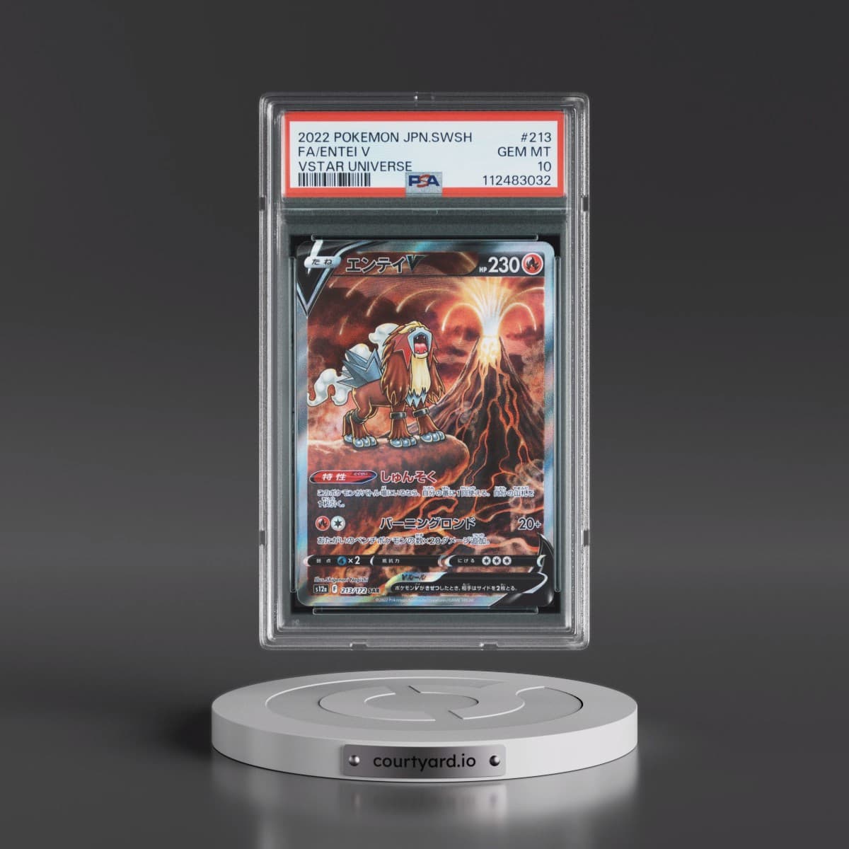 2022 Pokémon Sword & Shield Vstar Universe #213 Entei V - Holo Full Art (PSA 10 GEM MINT)