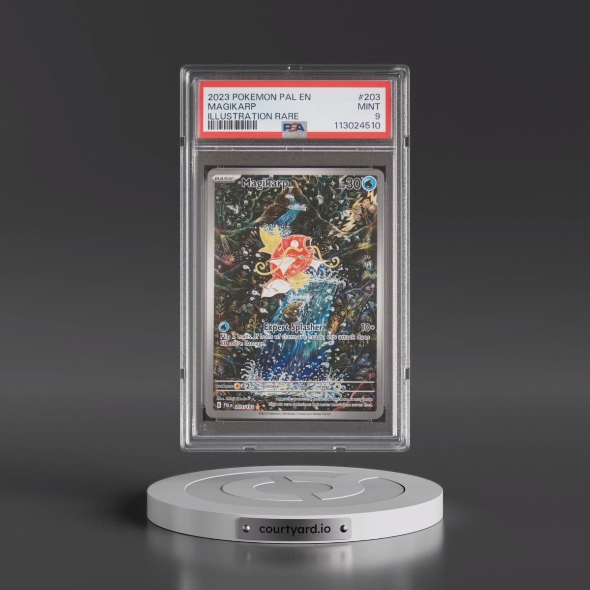 2023 Pokémon Pal EN-Paldea Evolved #203 Magikarp - Illustration Rare (PSA 9 MINT)