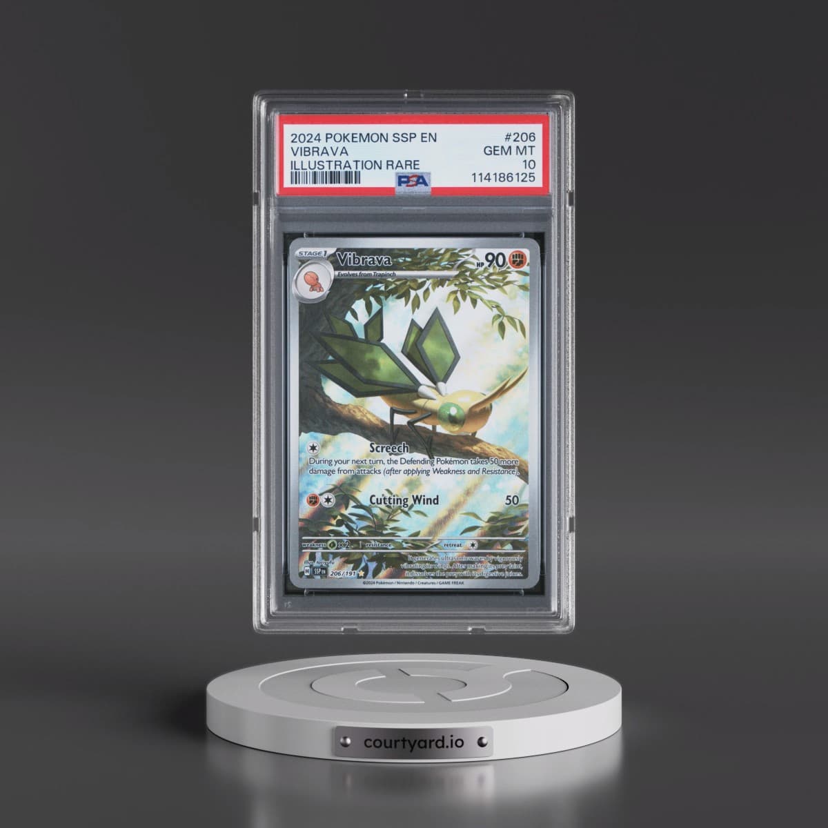 2024 Pokémon Ssp EN-Surging Sparks #206 Vibrava - Illustration Rare (PSA 10 GEM MINT)