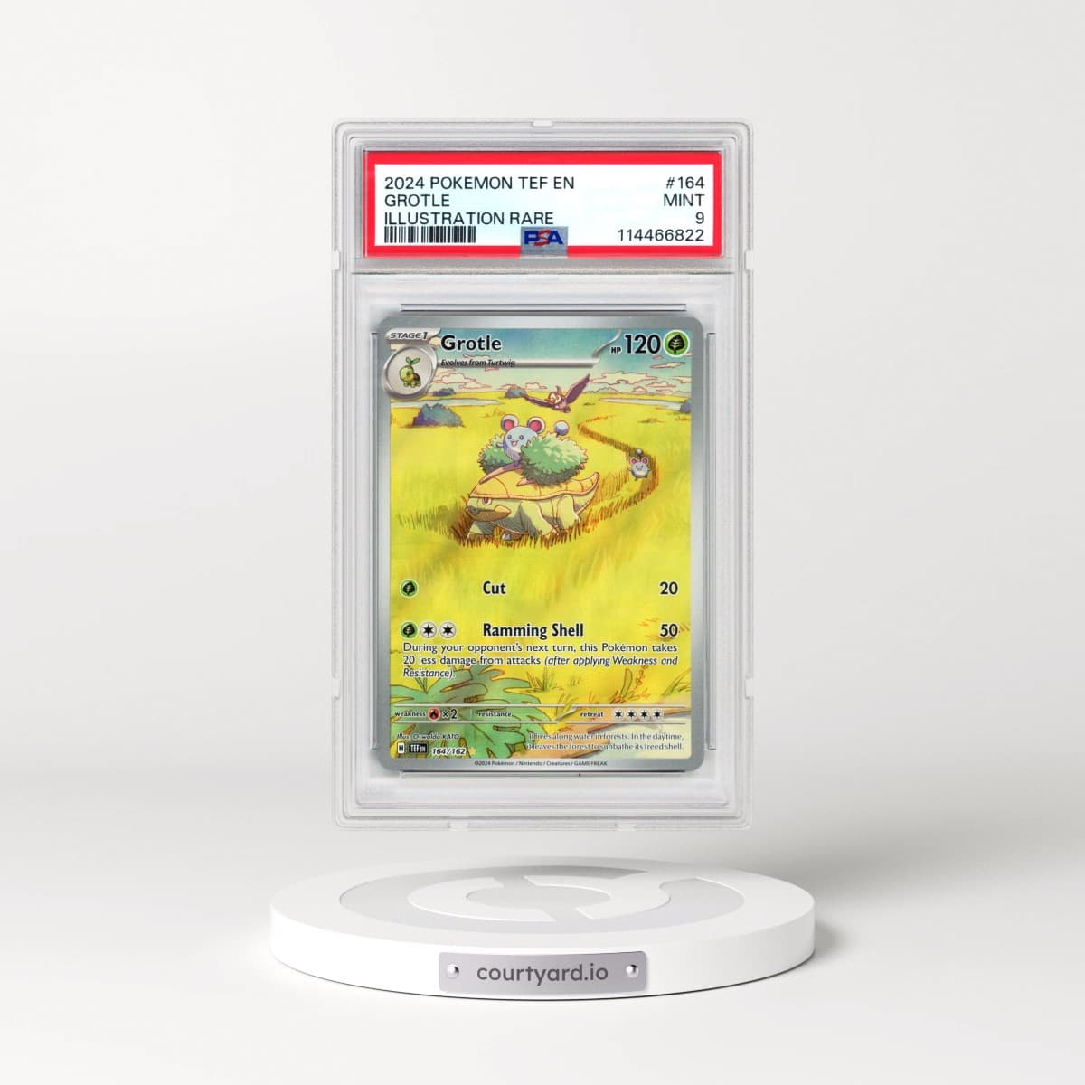 2024 Pokémon Tef EN-Temporal Forces #164 Grotle - Illustration Rare (PSA 9 MINT)