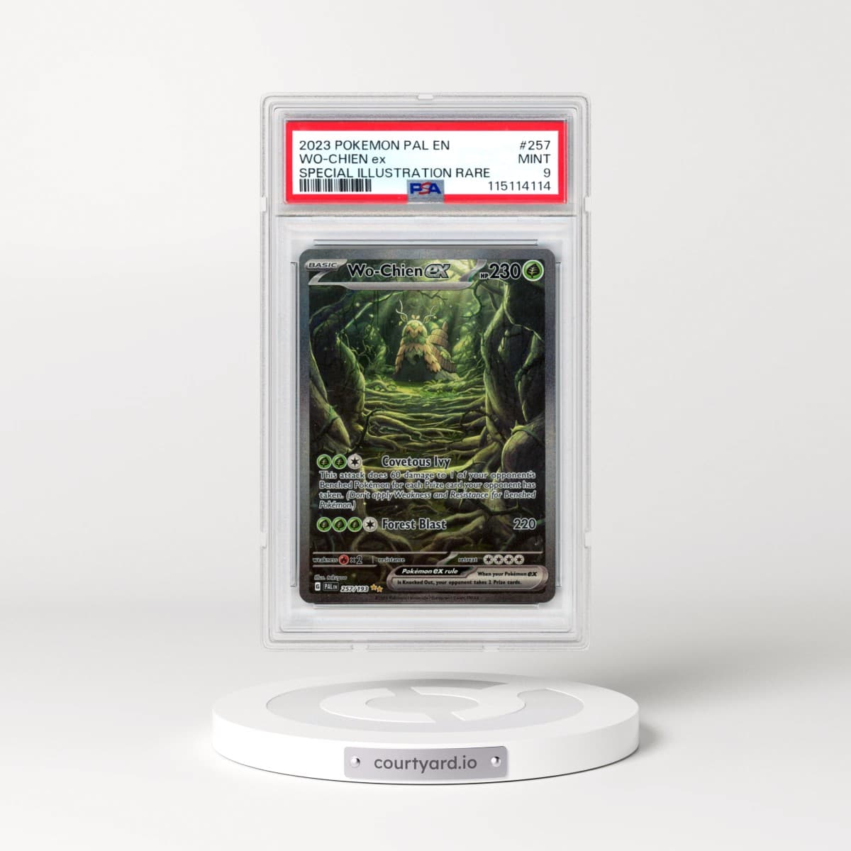 2023 Pokémon Pal EN-Paldea Evolved #257 WO-Chien EX - Holo Special Illustration Rare (PSA 9 MINT)