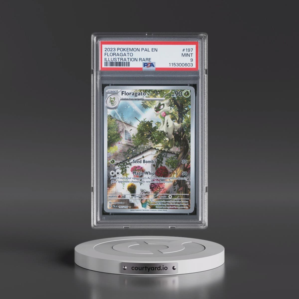 2023 Pokémon Pal EN-Paldea Evolved #197 Floragato - Illustration Rare (PSA 9 MINT)