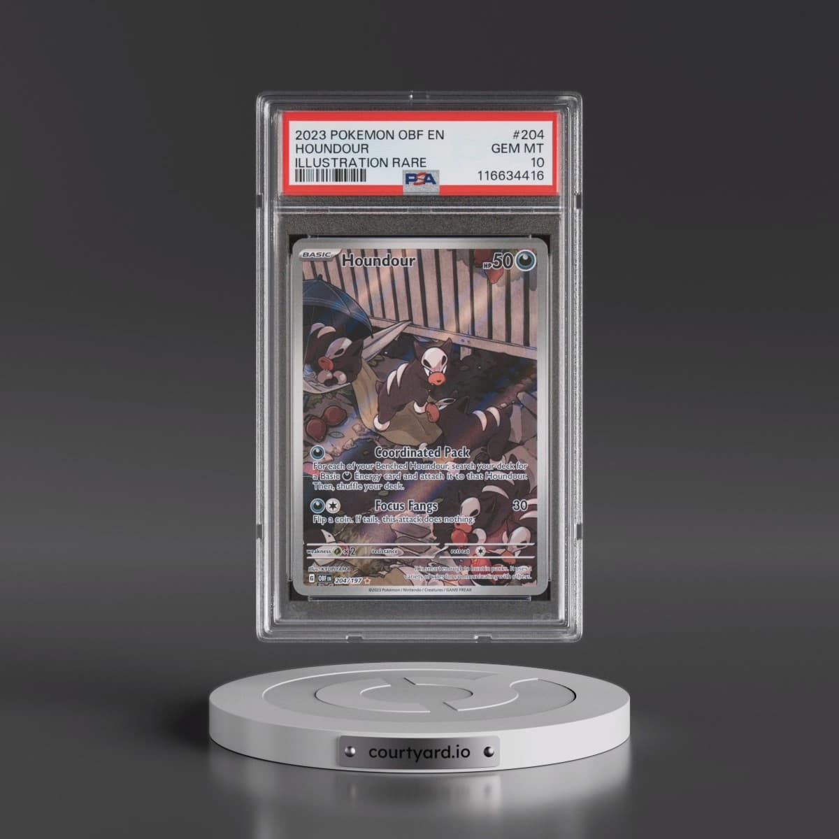 2023 Pokémon Obf EN-Obsidian Flames #204 Houndour - Illustration Rare (PSA 10 GEM MINT)