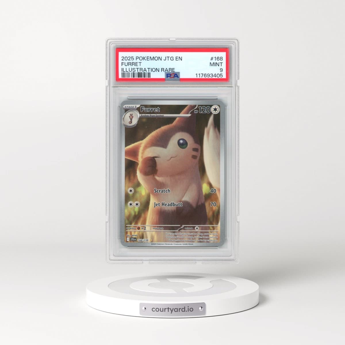 2025 Pokémon Jtg EN-Journey Together #168 Furret - Illustration Rare (PSA 9 MINT)
