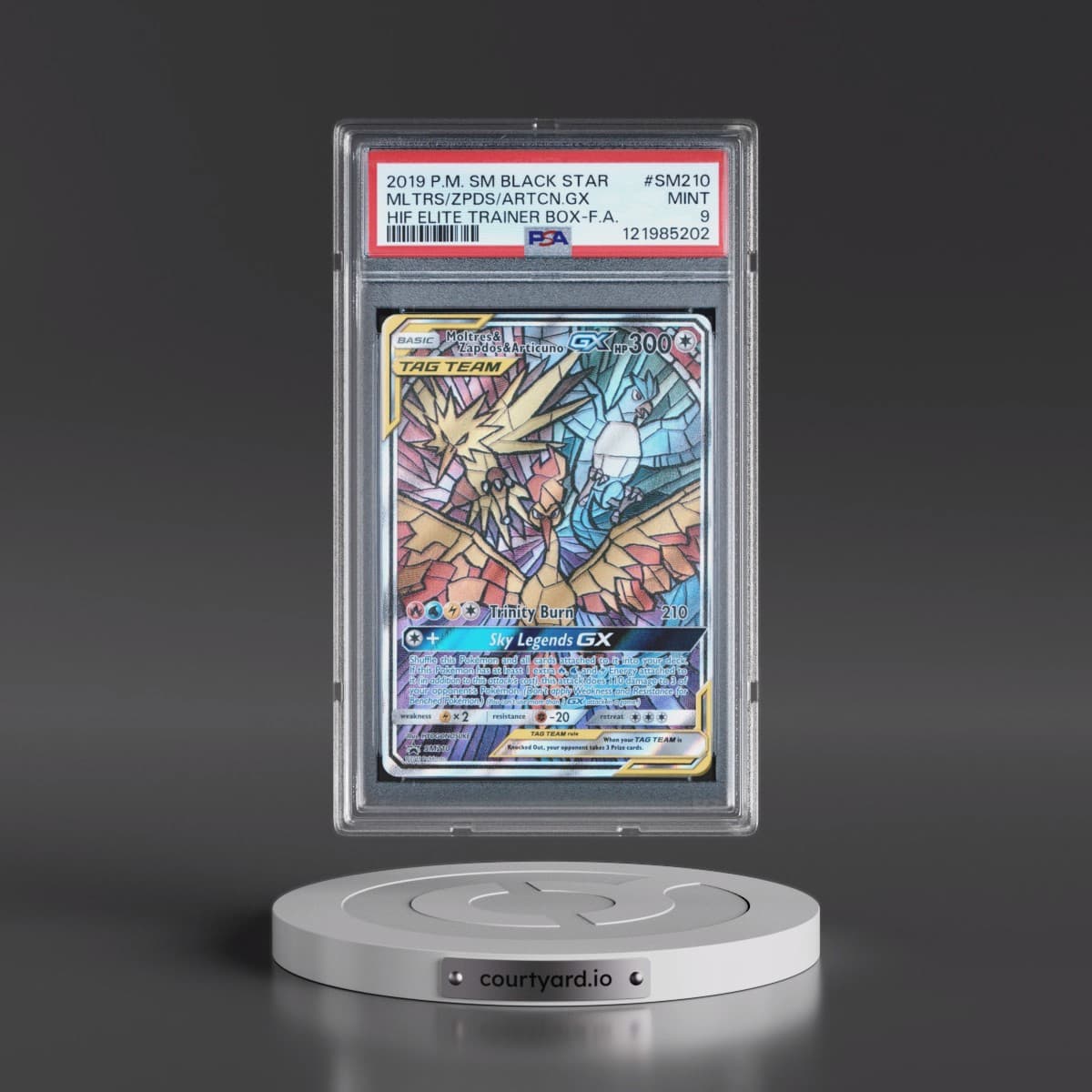 2019 Pokémon SM Black Star Promo #SM210 Moltres & Zapdos & Articuno GX - Holo Full Art Hidden Fates Elite Trainer Box (PSA 9 MINT)