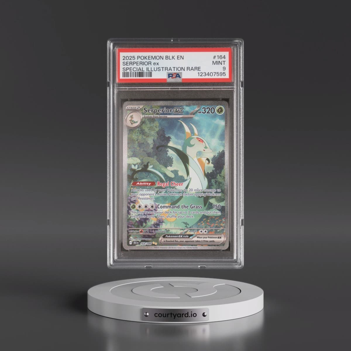 2025 Pokémon Blk EN-Black Bolt #164 Serperior EX - Holo Special Illustration Rare (PSA 9 MINT)