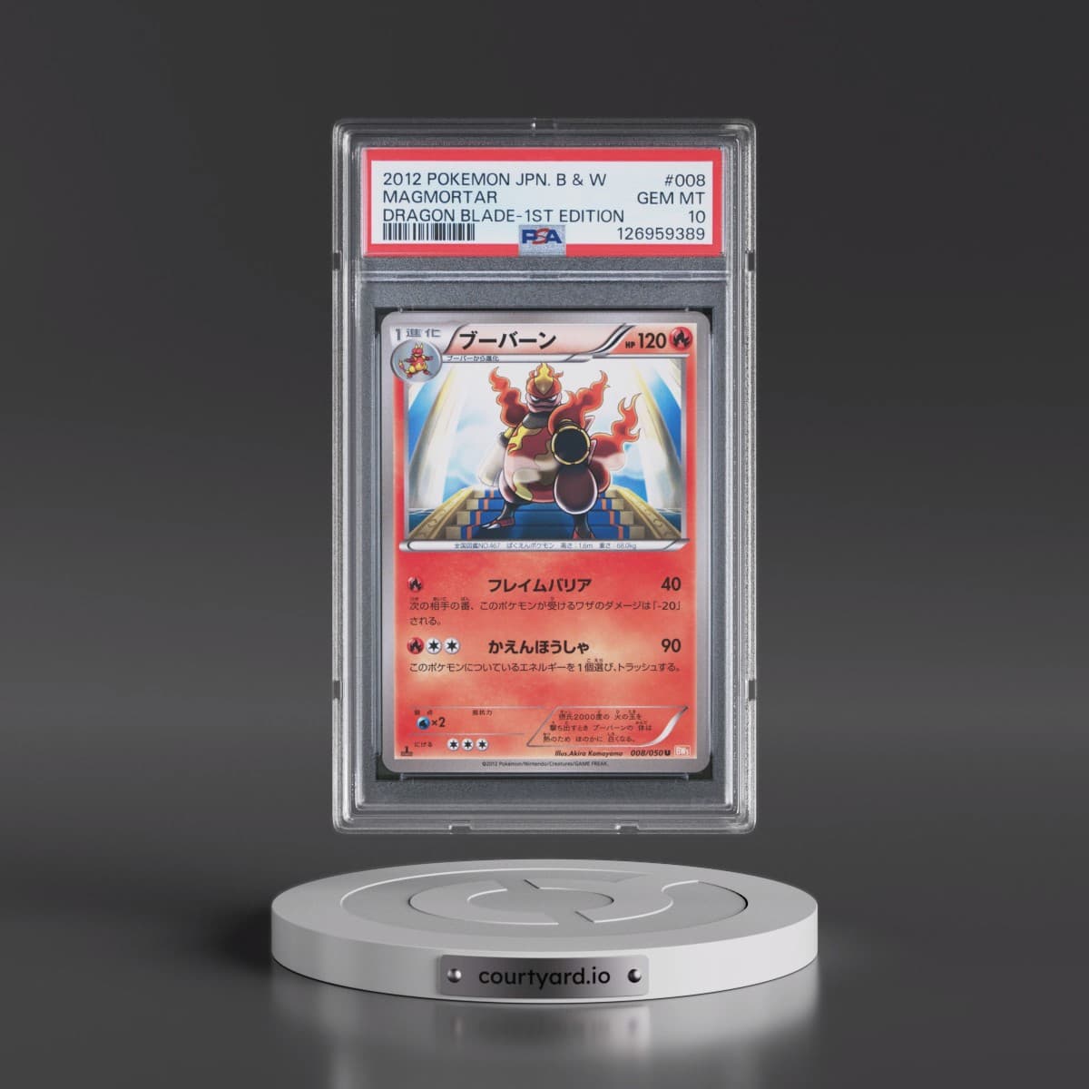 Pokémon Black & White Dragon Blade