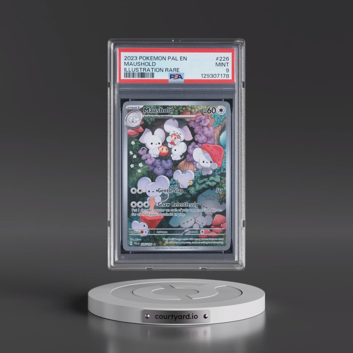 2023 Pokémon Pal EN-Paldea Evolved #226 Maushold - Illustration Rare (PSA 9 MINT)