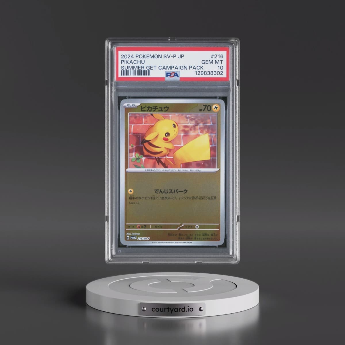 2024 Pokémon SV-P Promo #216 Pikachu - Summer of Pokeca Is Here! Promo Card Get Campaign Pack (PSA 10 GEM MINT)