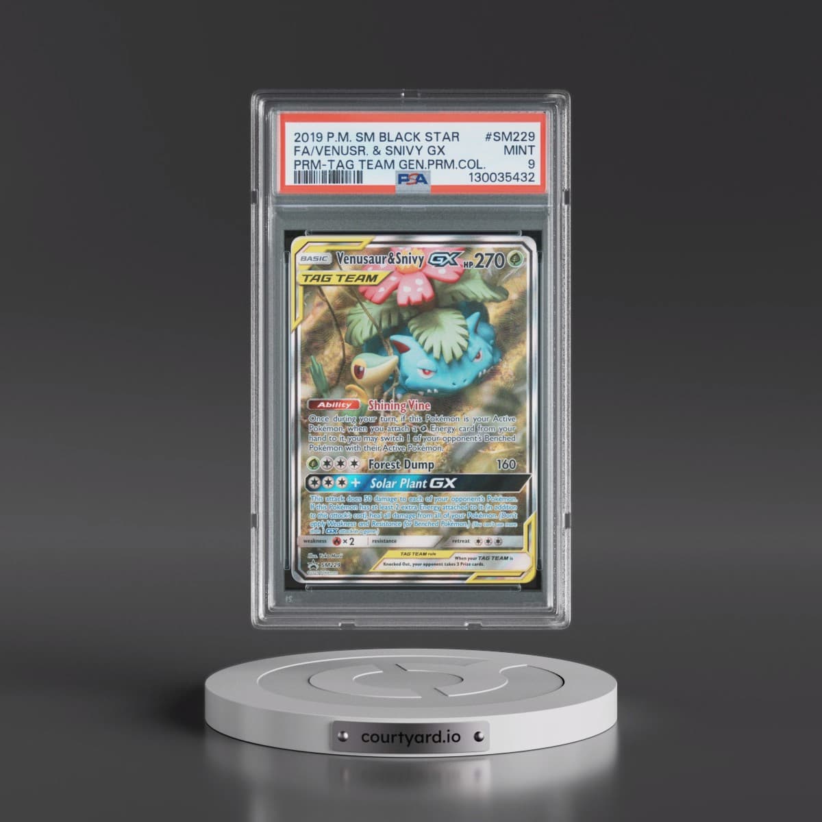 2019 Pokémon SM Black Star Promo #SM229 Venusaur & Snivy GX - Holo Full Art Tag Team Generations Premium Collection (PSA 9 MINT)