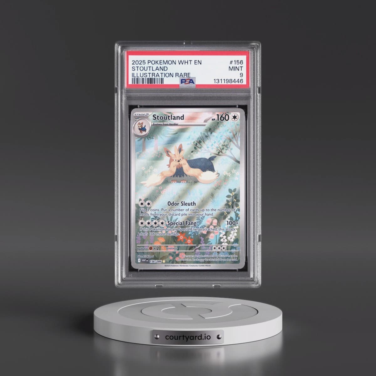 2025 Pokémon Wht EN-White Flare #156 Stoutland - Illustration Rare (PSA 9 MINT)