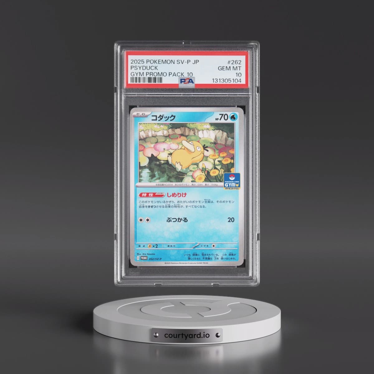 2025 Pokémon SV-P Promo #262 Psyduck - Gym Promo Pack 10 (PSA 10 GEM MINT)