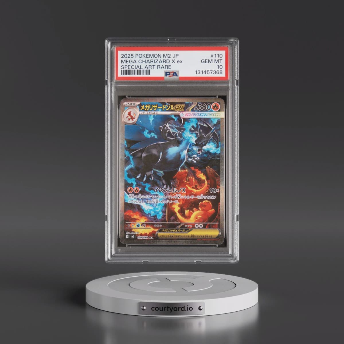 Pokémon Inferno X