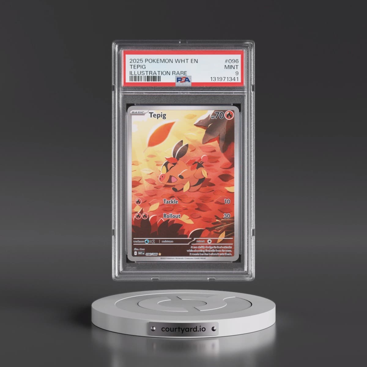 2025 Pokémon Wht EN-White Flare #096 Tepig - Illustration Rare (PSA 9 MINT)