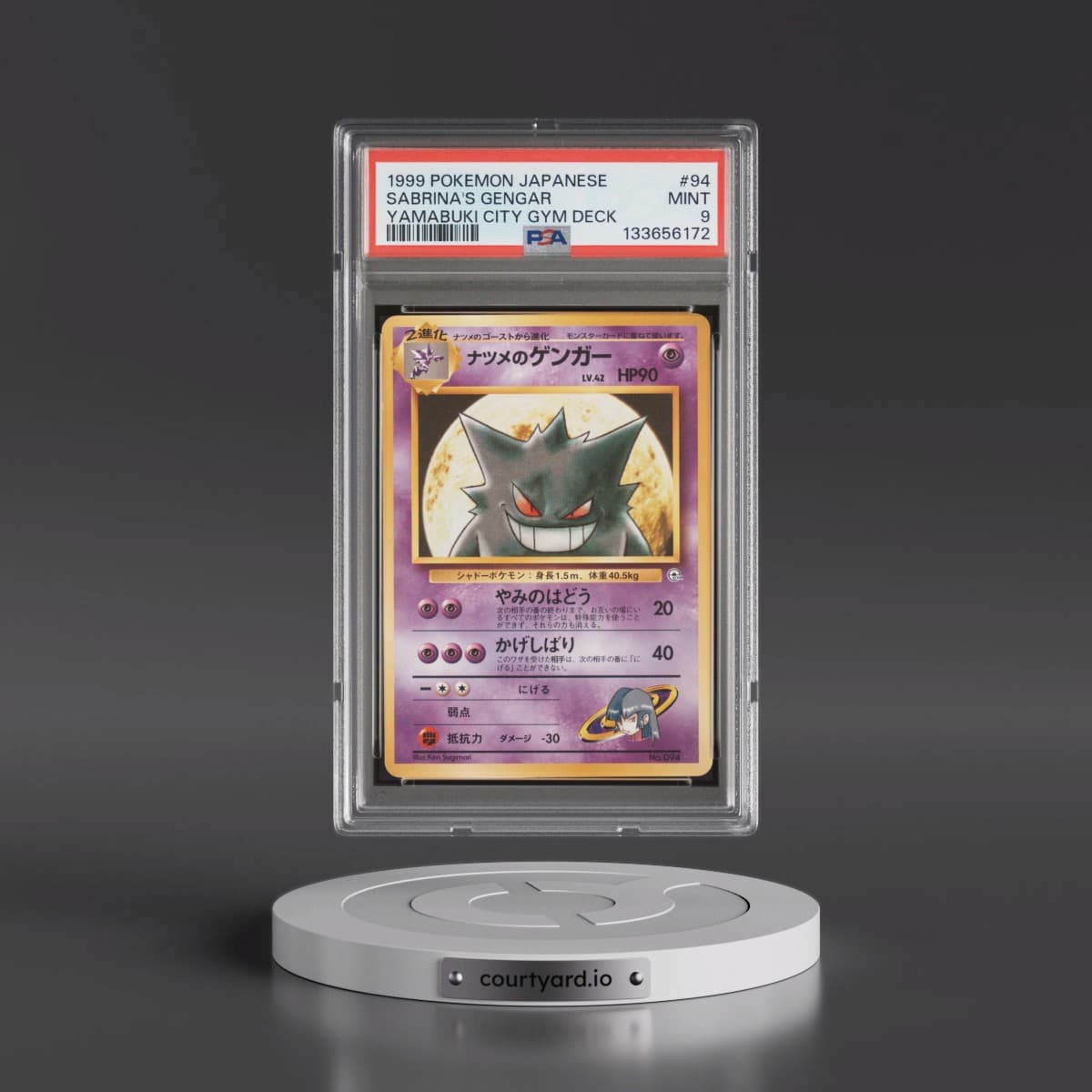 Pokémon Yamabuki City Gym Deck